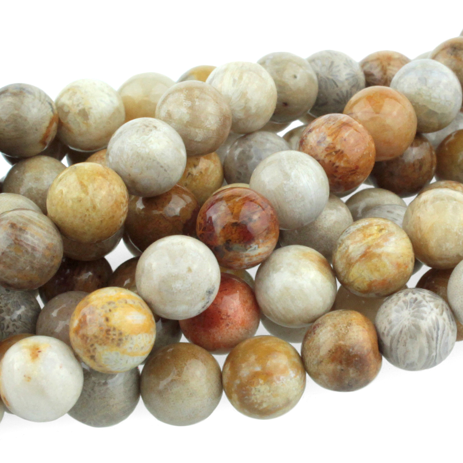 Fossil Coral 8mm round tan, gray. brown 