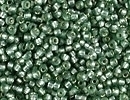 Japanese Miyuki Glass Seed Bead Size 15 - Moss Green - Silver Lined Semi-frost