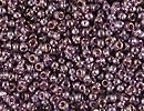 Japanese Miyuki Glass Seed Bead Size 15 - Violet Gold - Transparent Luster Finish