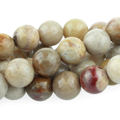 Fossil Coral 10mm round tan, gray. brown | Gemstone Beads