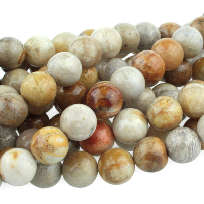 Fossil Coral 8mm round tan, gray. brown | Gemstone Beads