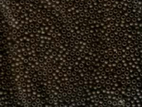Image Seed Beads Miyuki Seed size 11 brown transparent matte