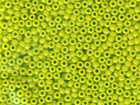 Image Seed Beads Miyuki Seed size 11 chartreuse opaque